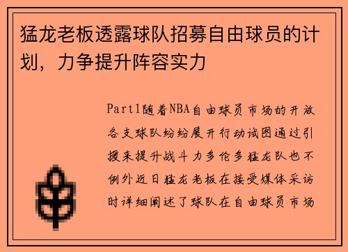 猛龙老板透露球队招募自由球员的计划，力争提升阵容实力