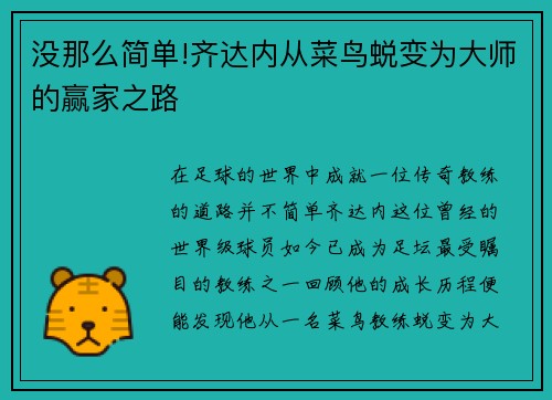 没那么简单!齐达内从菜鸟蜕变为大师的赢家之路